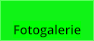 Fotogalerie