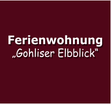 Ferienwohnung  „Gohliser Elbblick“